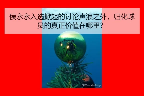 hou-yong-yong-ru-xuan-xian-qi-de-tao-lun-sheng-lang-zhi-wai-gui-hua-qiu-yuan-de-zhen-zheng-jia-zhi-zai-na-li-2-308.jpg